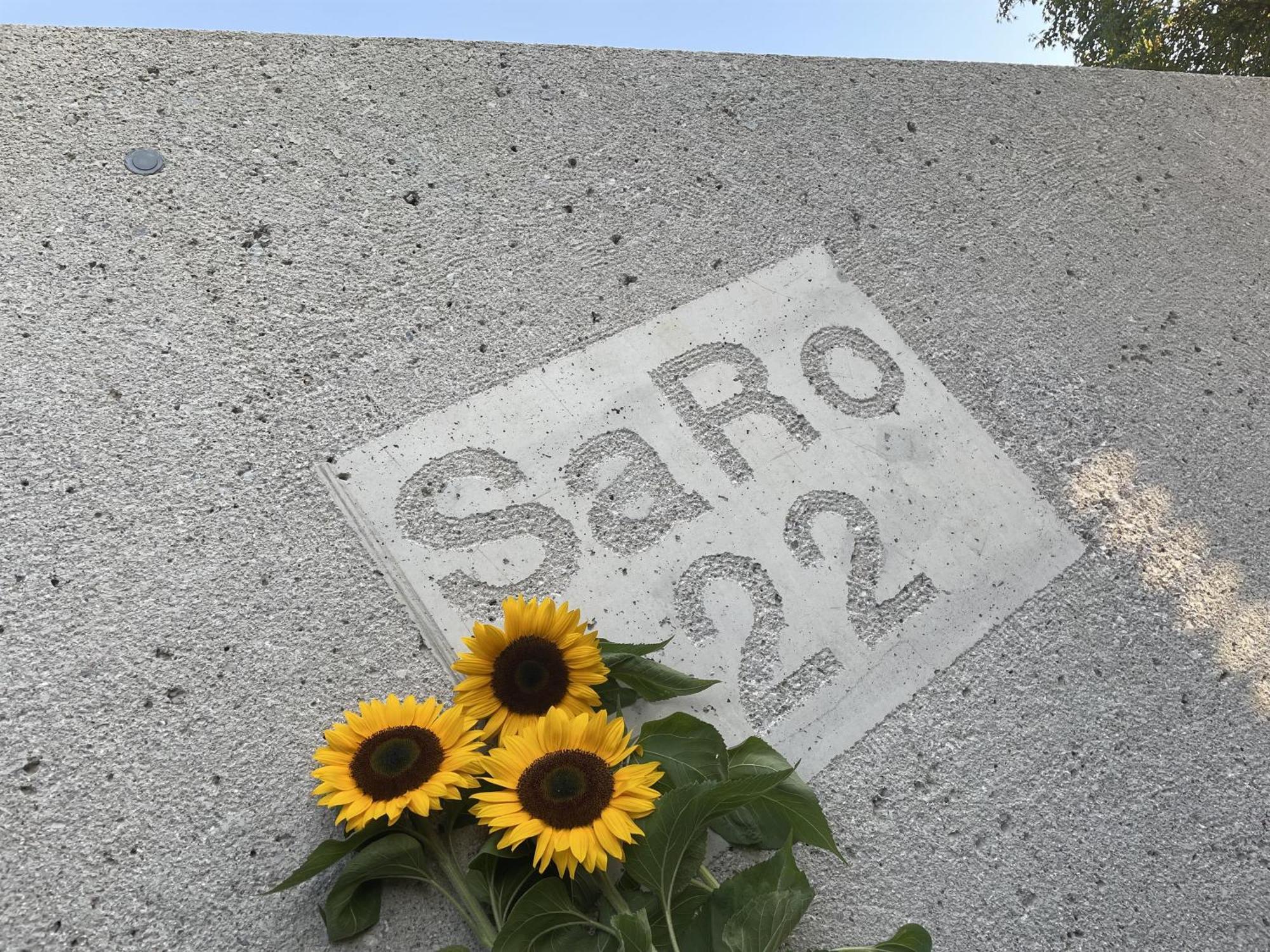 דירות הופגרטן אים בריקסנטל Haus Saro מראה חיצוני תמונה